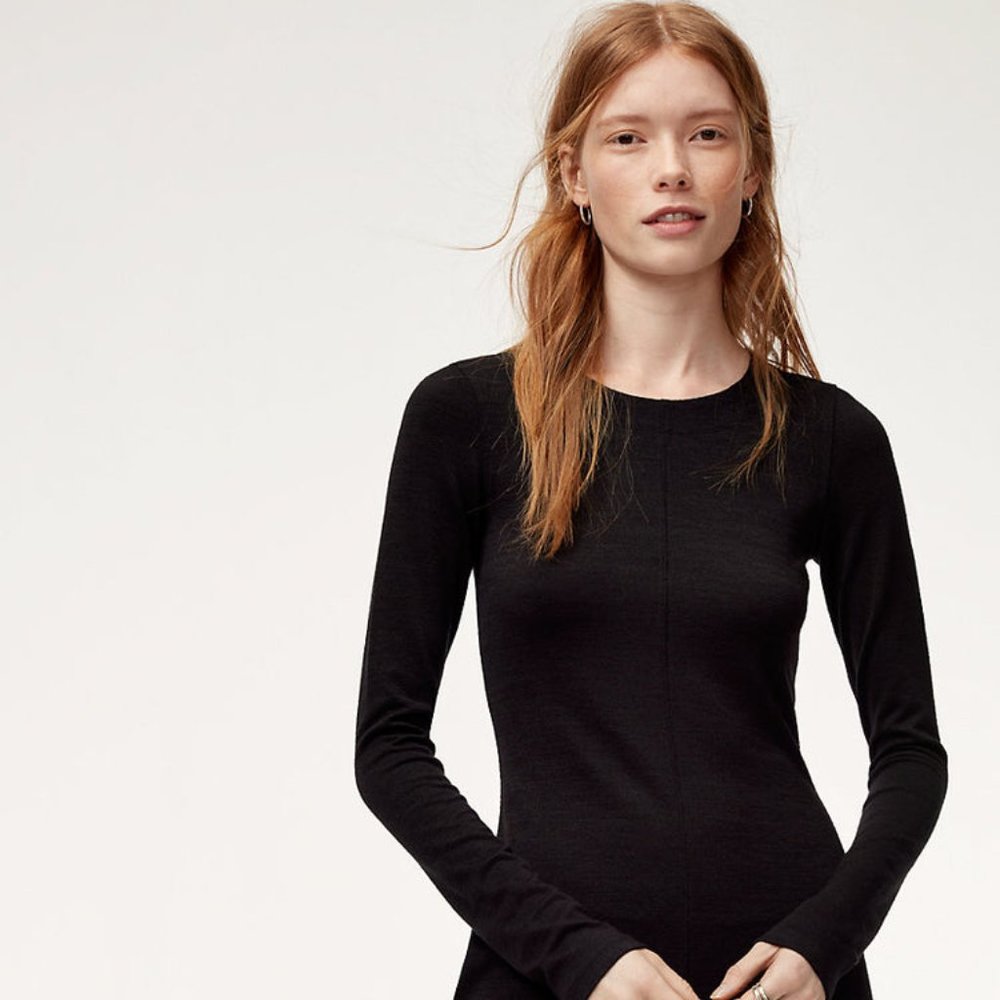 Aritzia Wilfred Free Garima Dress